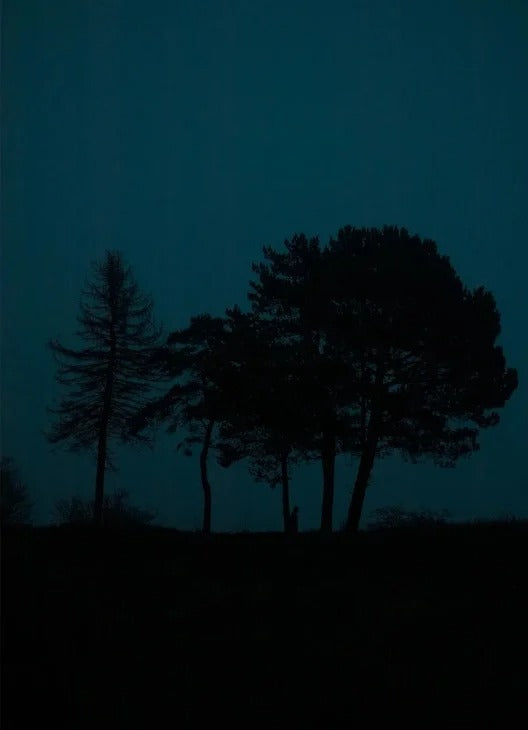COMMON WERKS | Le nuit Bleu | アートプリント/ポスター (50x70cm) | 北欧 デンマーク フォトアート 写真 アート インテリア おしゃれ