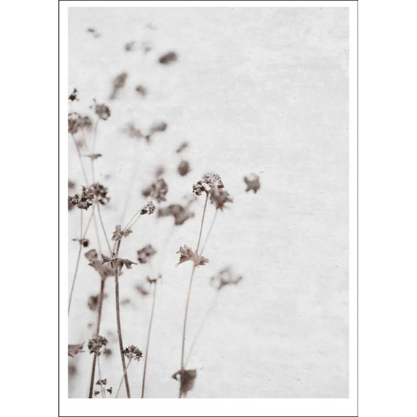Ingrey Studio | Dried Flower 3 | アートプリント/アートポスター 北欧 デンマーク 写真 風景