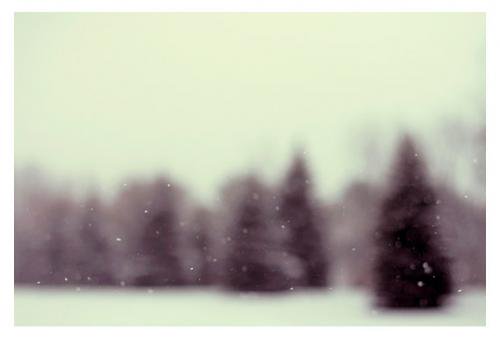 ALICIA BOCK PHOTOGRAPHY | THE LAST TIME IT SNOWED | フォトグラフィ/ポスター