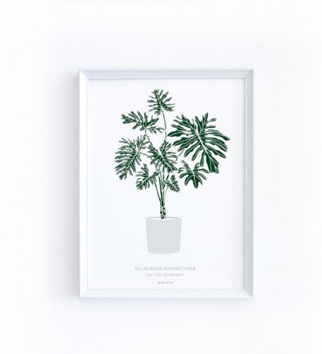 MICUSH | LACY TREE ART PRINT (AP041) | アートプリント/ポスター (30x40cm)