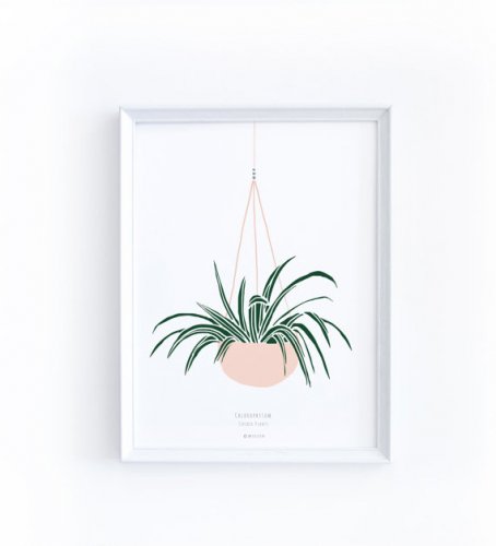 MICUSH | CHLOROPHYTUM ART PRINT (AP046) | アートプリント/ポスター (30x40cm)