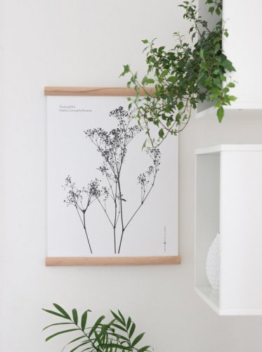 MICUSH | GYPSOPHILA ART PRINT | アートプリント/ポスター (30x40cm)