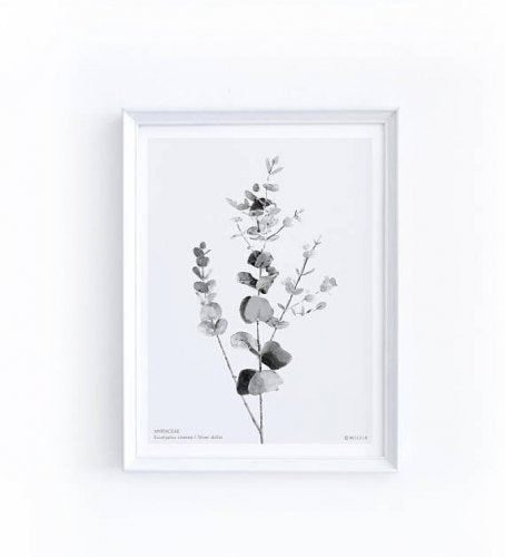 MICUSH | HOUSEPLANT WALL ART PRINT (AP08) | アートプリント/ポスター (30x40cm)