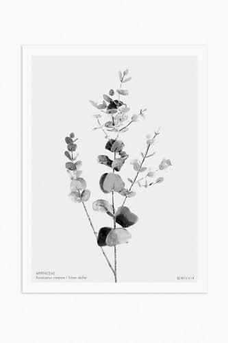 MICUSH | HOUSEPLANT WALL ART PRINT (AP08) | アートプリント/ポスター (30x40cm)