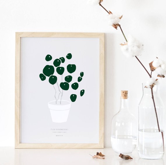 MICUSH | PILEA PEPEROMIOIDES (CHINESE MONEY PLANT) ART PRINT (grey) | アートプリント/ポスター (30x40cm)