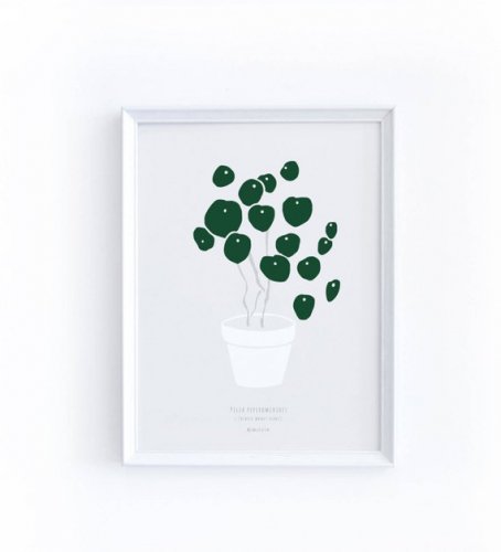 MICUSH | PILEA PEPEROMIOIDES (CHINESE MONEY PLANT) ART PRINT (grey) | アートプリント/ポスター (30x40cm)