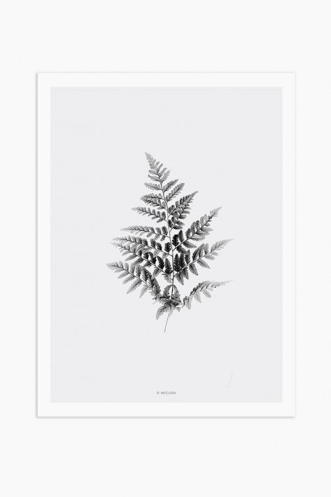 MICUSH | BLACK AND WHITE FERN ART PRINT | アートプリント/ポスター (30x40cm)