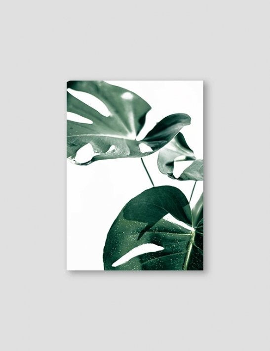 NOUROM | MONSTERA #1 | アートプリント/ポスター (50x70cm)【北欧 シンプル ミニマル インテリア おしゃれ】