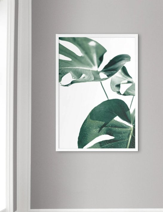 NOUROM | MONSTERA #1 | アートプリント/ポスター (50x70cm)【北欧 シンプル ミニマル インテリア おしゃれ】