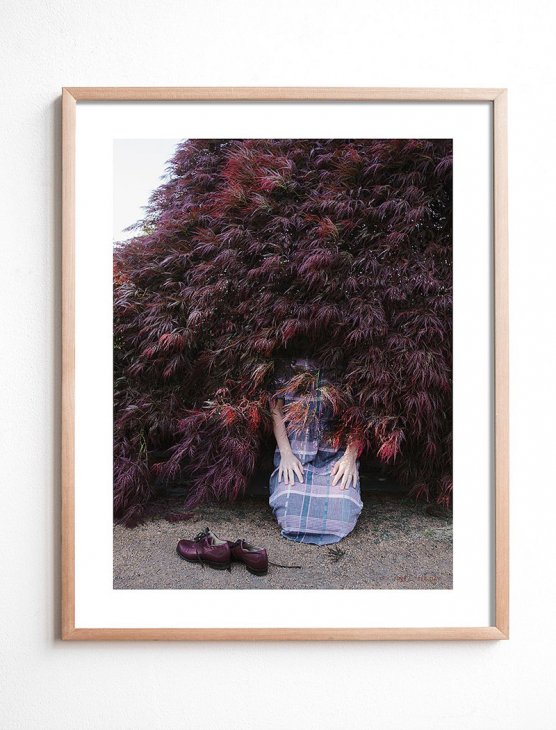 FINE LITTLE DAY | I FOUND A BUSH WHERE I’LL LIVE NOW POSTER | アートプリント/ポスター (40x50cm)【北欧 インテリア リビング】