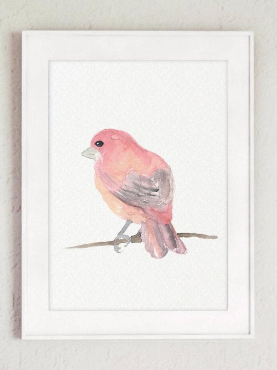 COLOR WATERCOLOR | Purple Finch North American Bird #2 | A4 アートプリント/ポスター【北欧 シンプル おしゃれ 鳥】