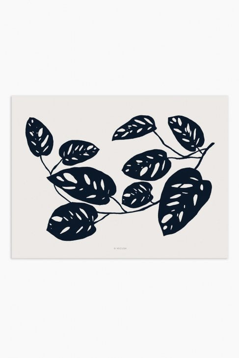 MICUSH | BOTANICAL SILHOUETTE - MONSTERA OBLIQUA ART PRINT (AP151) | アートプリント/ポスター (30x40cm)