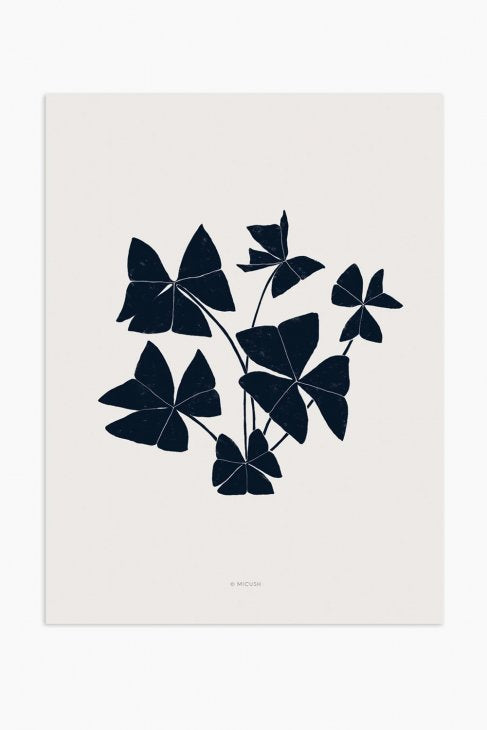 MICUSH | BOTANICAL SILHOUETTE - FALSE SHAMROCK ART PRINT (AP148) | アートプリント/ポスター (30x40cm)