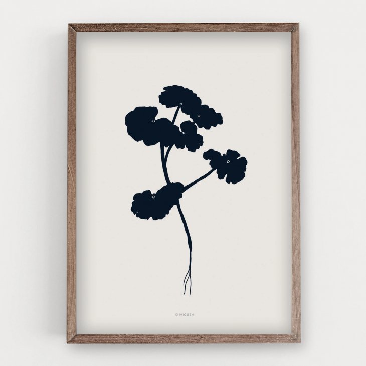 MICUSH | BOTANICAL SILHOUETTE - PELARGONIUM PLANT ART PRINT (AP144) | アートプリント/ポスター (30x40cm)