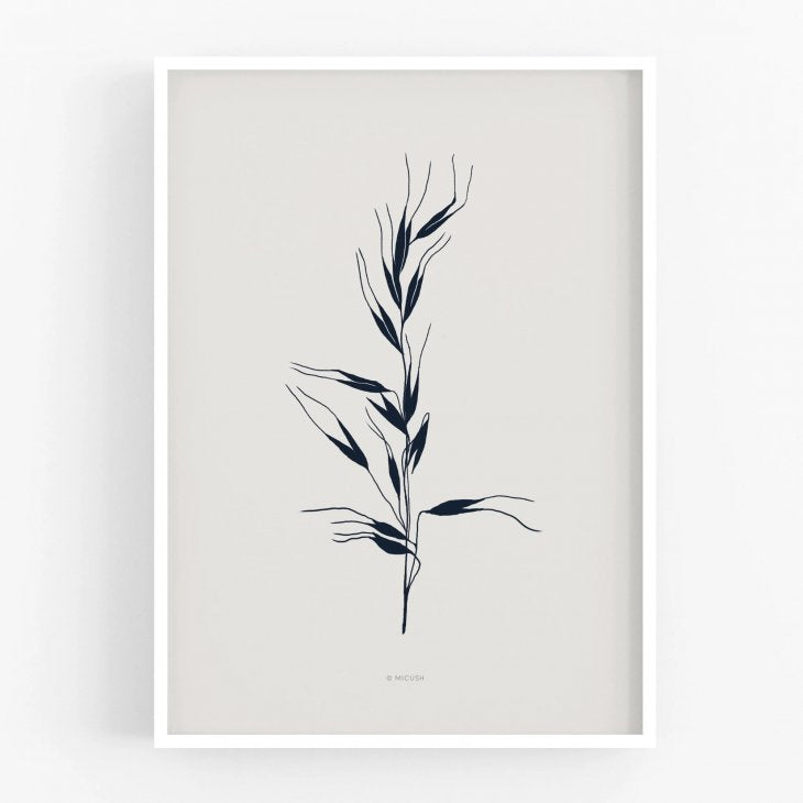 MICUSH | BOTANICAL SILHOUETTE - AVENA SATIVA ART PRINT (AP143) | アートプリント/ポスター (30x40cm)