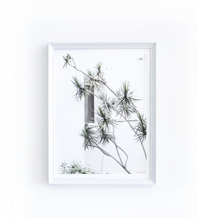 MICUSH | DRACAENA MARGINATA PHOTOGRAPHY PRINT (AP019) | アートプリント/ポスター (30x40cm)