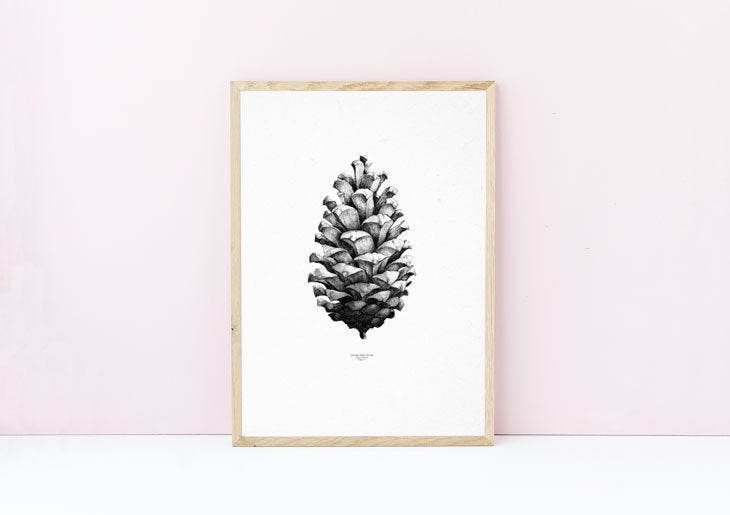 PAPER COLLECTIVE | PINE CONE (white) | アートプリント/アートポスター (50x70cm)【北欧 シンプル インテリア おしゃれ】