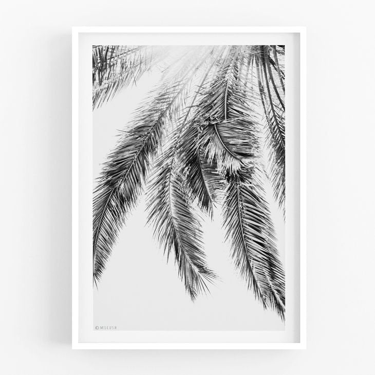 MICUSH | PALM LEAVES | アートプリント/ポスター (30x40cm)【北欧 シンプル インテリア おしゃれ】