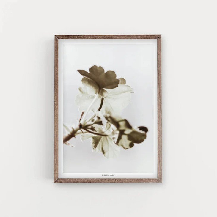 SIMPLISTIC LAYERS | PELARGONIUM (APS26) | アートプリント/ポスター (30x40cm) 北欧 インテリア おしゃれ